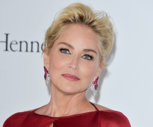 sharon-stone-iq
