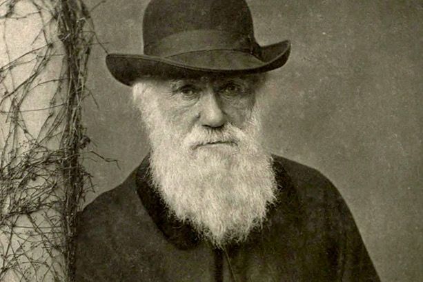 charles darwin iq