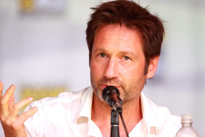 david-duchovny-iq