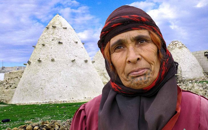 syria- beehive