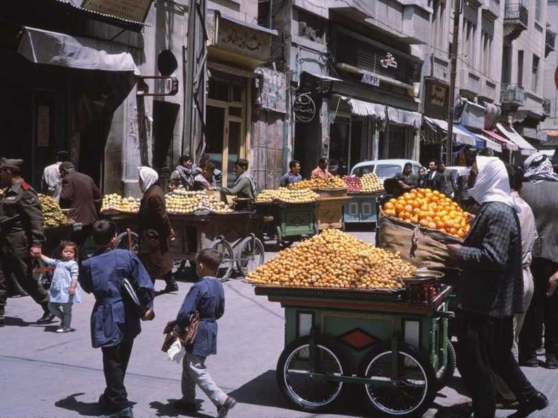 syria- fruit