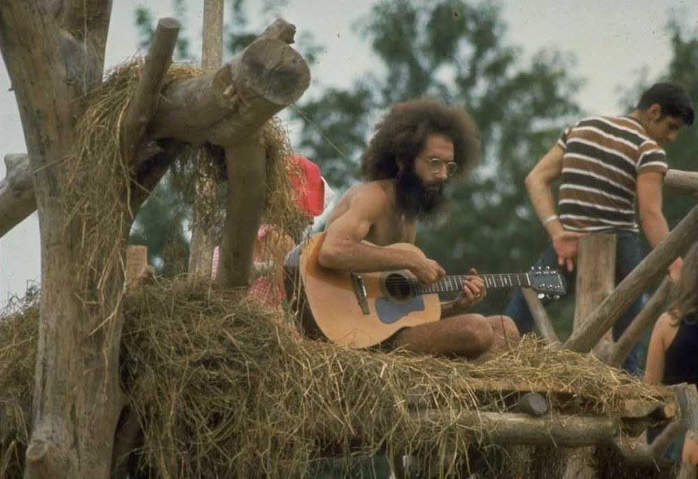 wood-hay