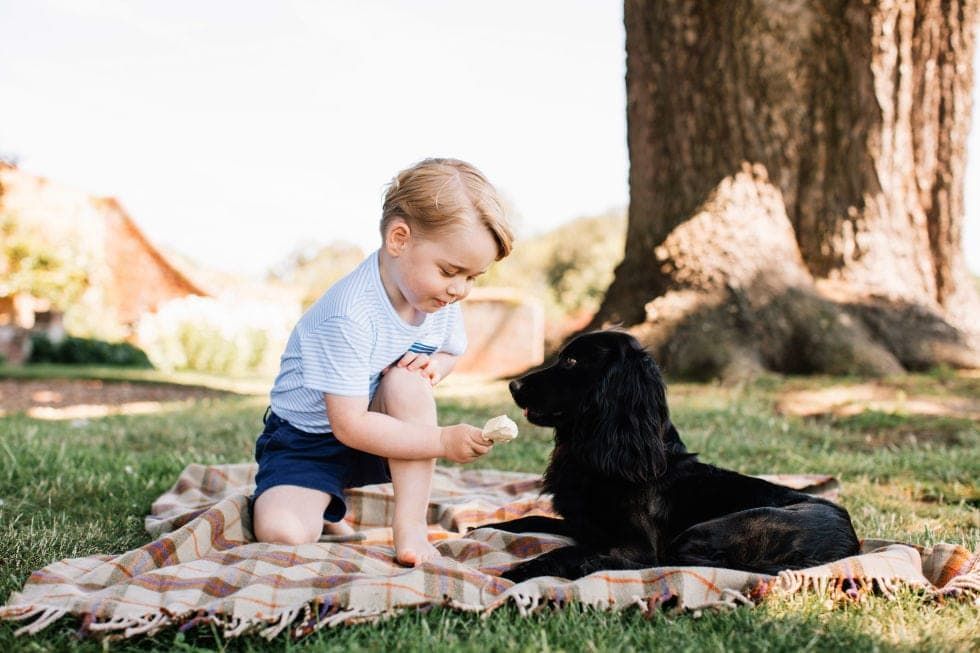 hbz-rbf-0716-prince-george2