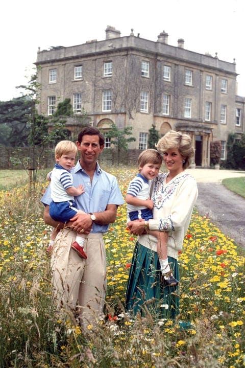 hbz-royal-family-1986-prince-charles-princess-diana-prince-william-harry-gettyimages-52110610