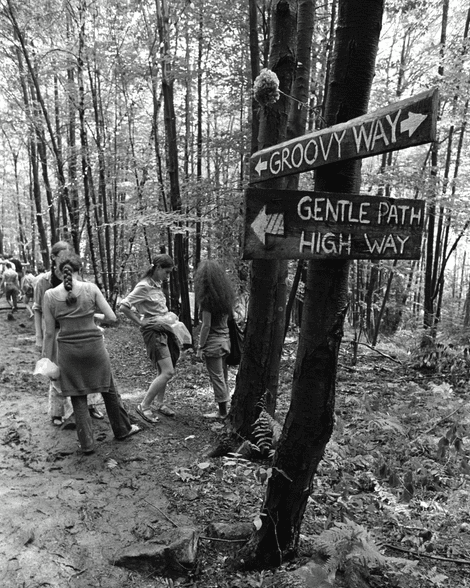 wood-trails