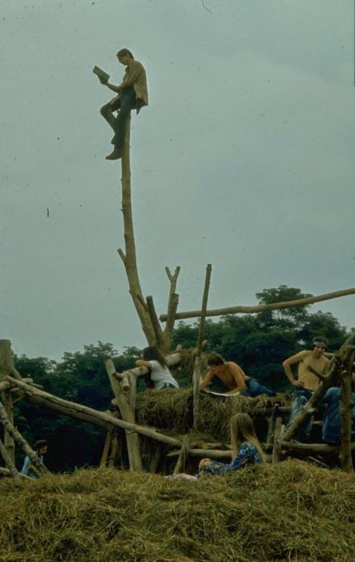 wood-pole