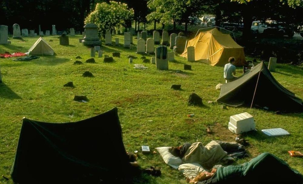 wood-cemetary