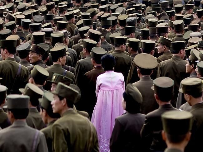 Korea Pink Lady