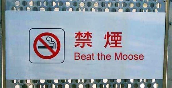 funny-sign-beat-moose-translation