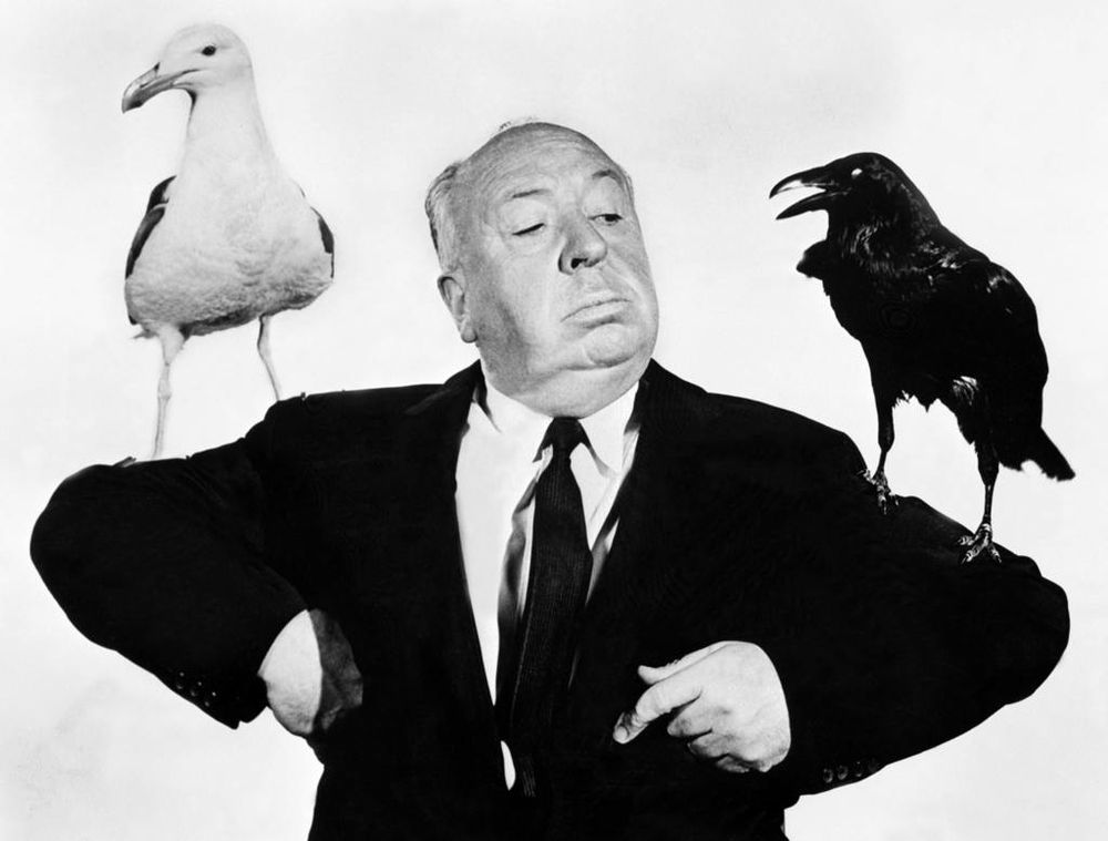 alfred hitchcock birds