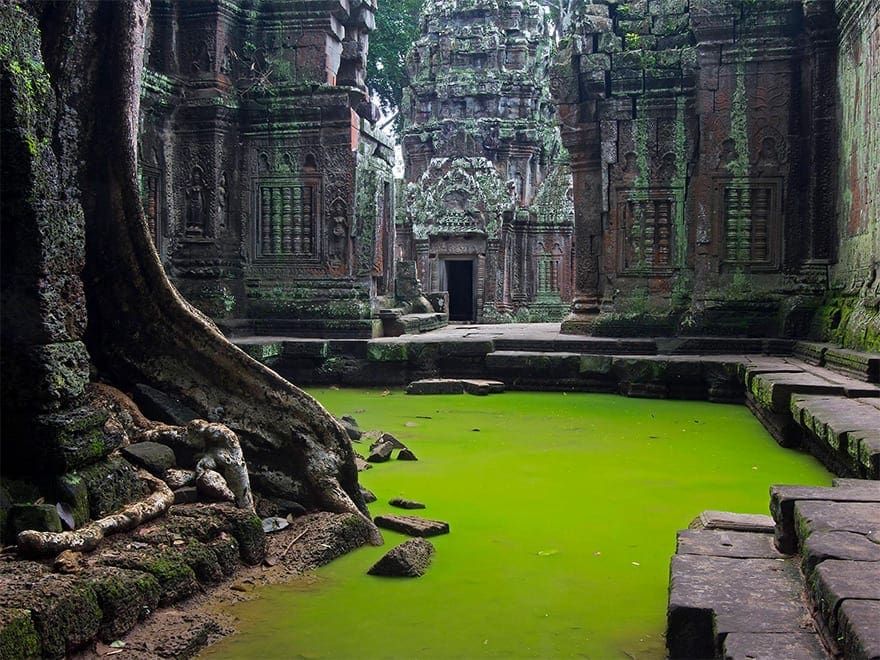 angkor 8