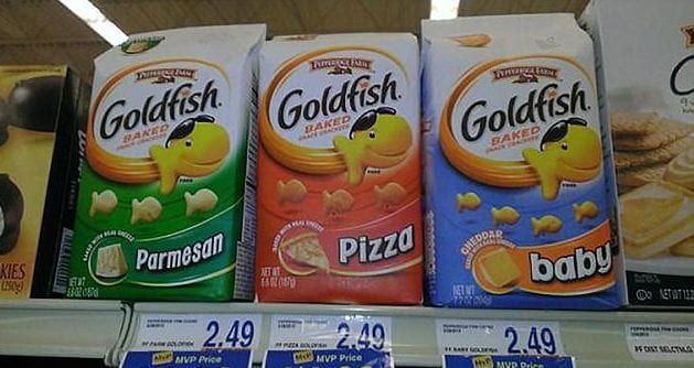 misleading-goldfish