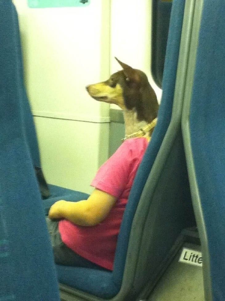 misleading-dog woman