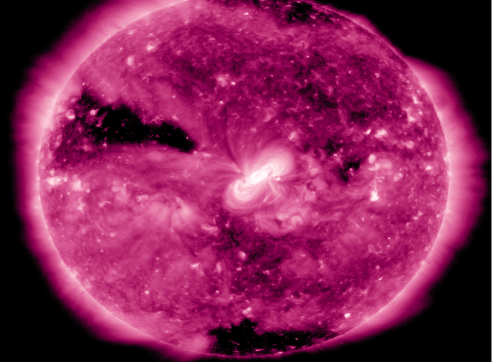 purple 1