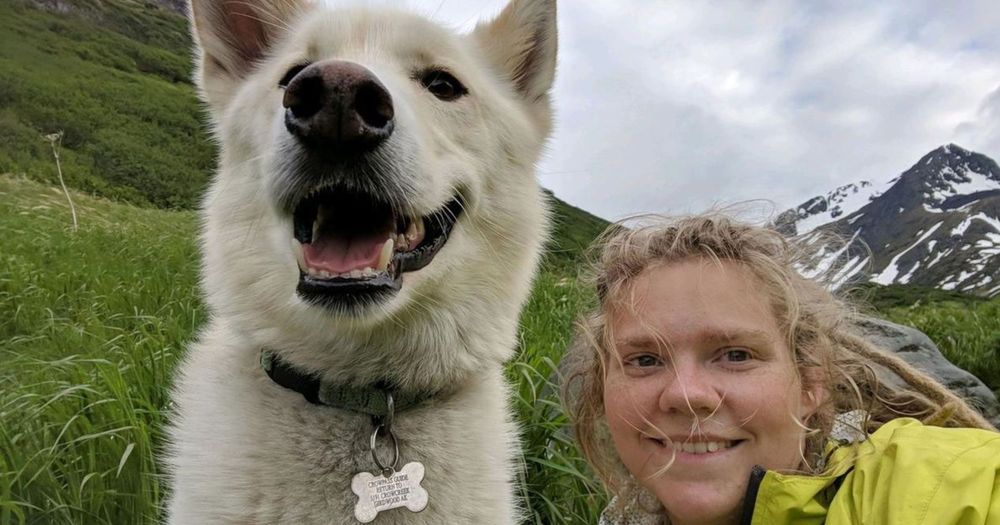 husky