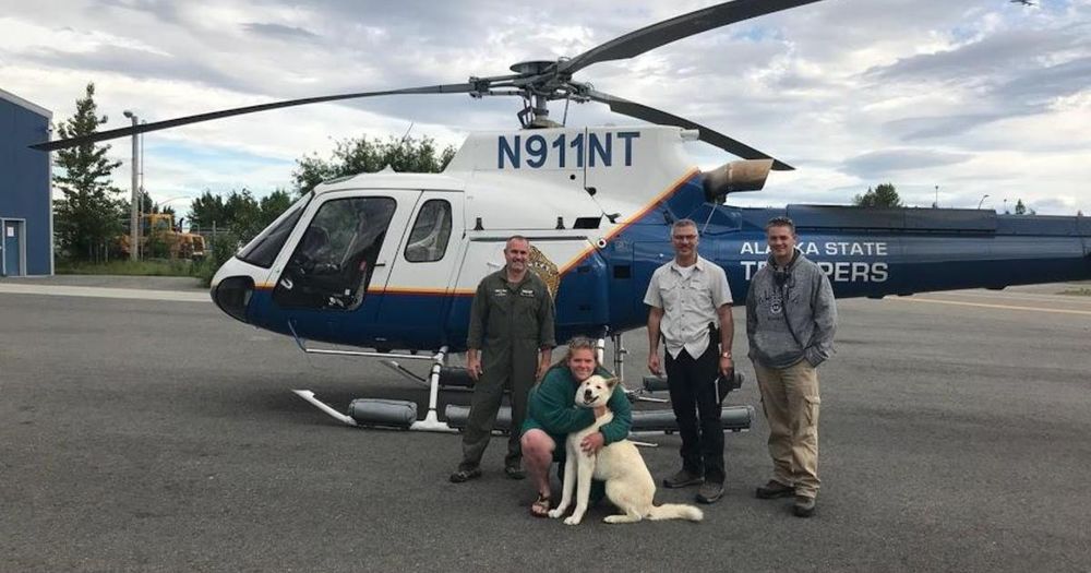 husky