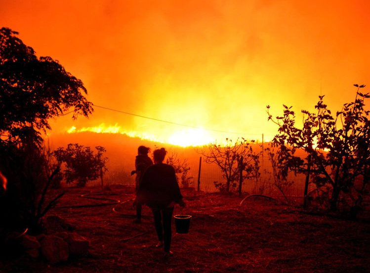 wildfire