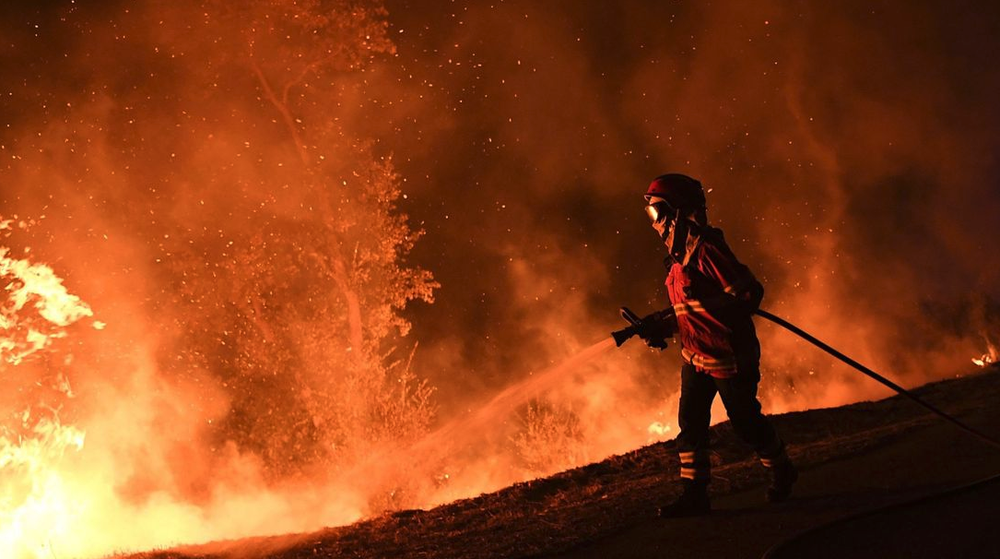 wildfire