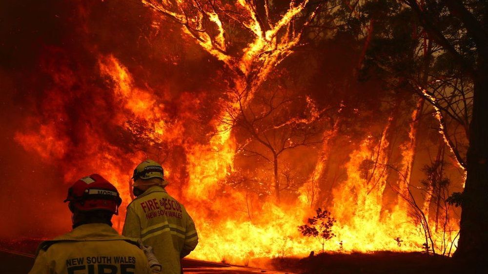 firefighters