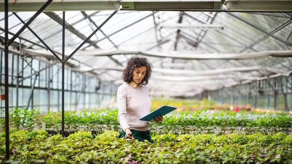 Startup Turns Appalachia From a Coal Country Into an Agricultural Hub