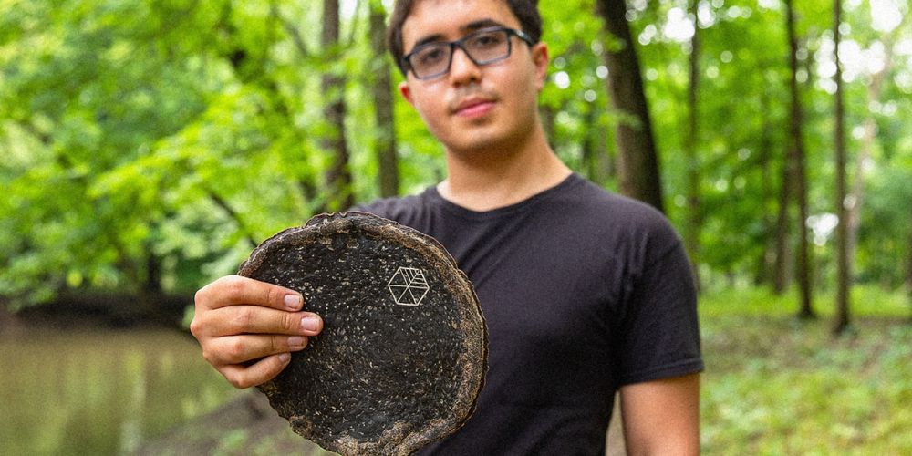 Pyrus – A Wood Alternative Wins 2021 Dyson Award