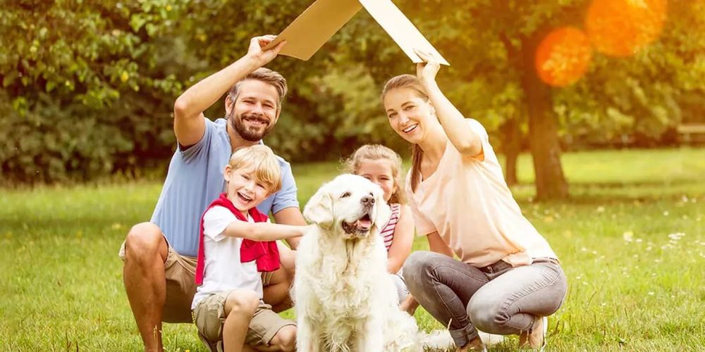 5 Most Adopted Dog Breeds in North America