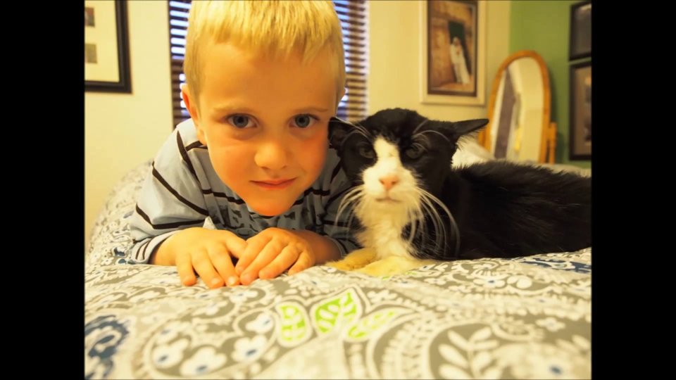 Family Adopts 20-Year-Old Cat, Never Expected How Much Love He Still Had Left To Give